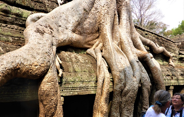 Ta Prohm
